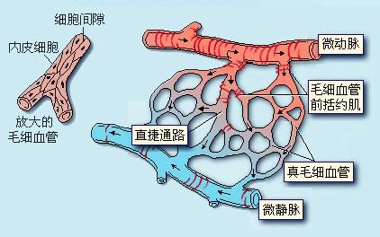 眼角下长斑（眼角下面长斑怎么回事  ）-第4张图片