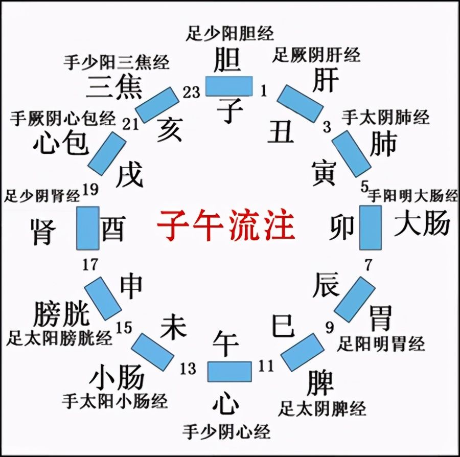 日干支层次（天干地支基础篇）-第3张图片