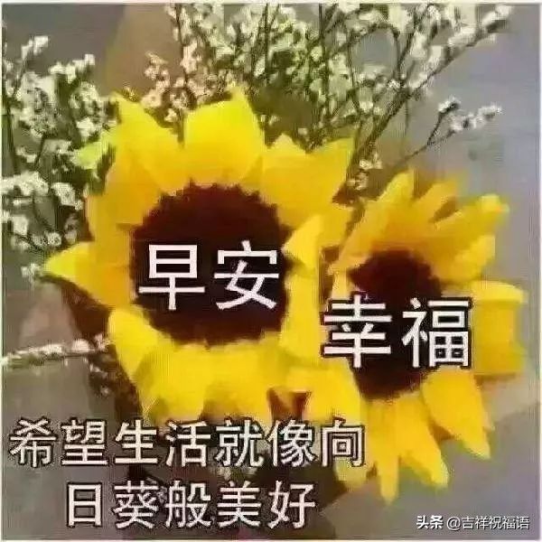 早上好问候语图片（最新早上好问候祝福语短信）-第5张图片