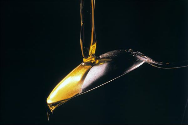 如何鉴别地沟油（5个方法快速分辨你吃的是不是地沟油）-第5张图片