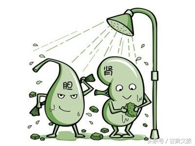 不喜欢喝水（不喜欢喝水？那么这五种疾病要注意了！）-第2张图片