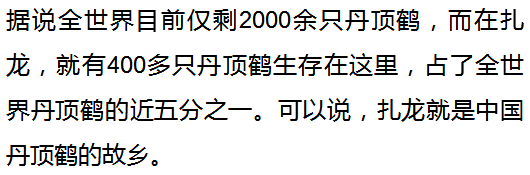 丹顶鹤的故乡（这里是扎龙，丹顶鹤的故乡）-第15张图片