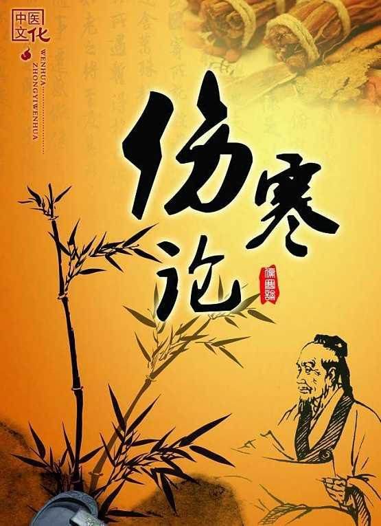 大青龙汤（伤寒论大青龙汤组成配方）-第2张图片