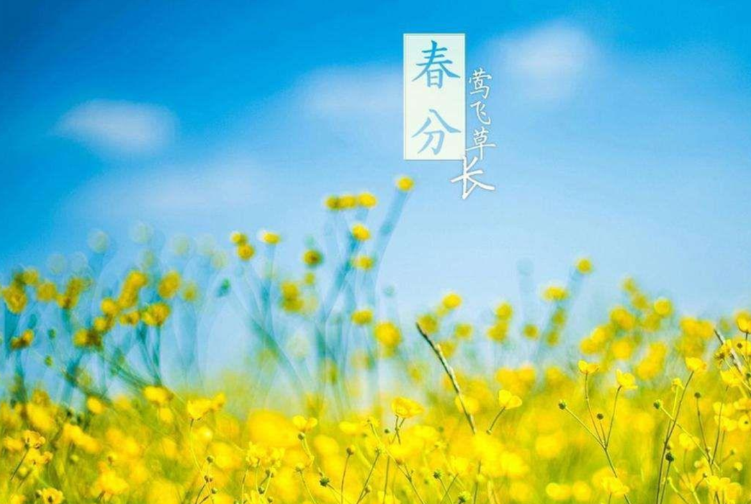 春分日古诗（十二首春分的诗词）-第23张图片