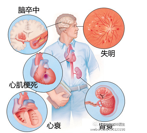 心血管系统（心血管系统详解知识点）-第2张图片