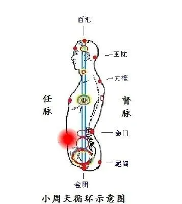 气功小周天（小周天行气法）-第1张图片