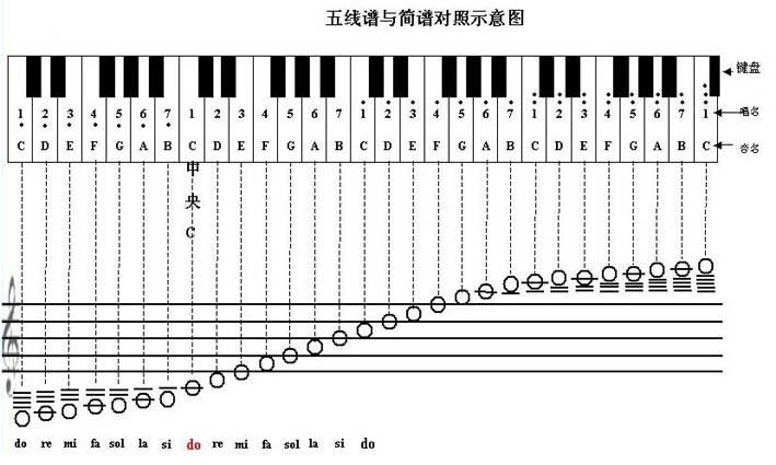钢琴五线谱（五线谱怎么看？没有比这还详细的了）-第3张图片