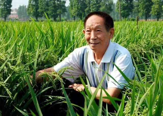 科学家有哪些（选出中国最牛的10名科学家）-第7张图片