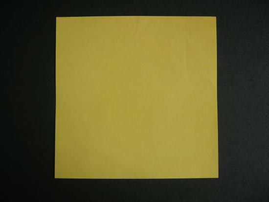 越狱纸玫瑰折法（纸玫瑰花的折法）-第4张图片