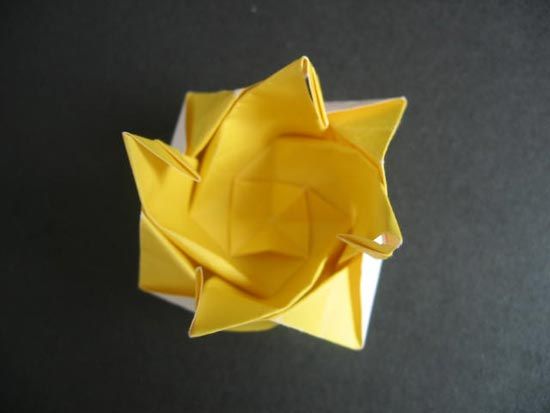 越狱纸玫瑰折法（纸玫瑰花的折法）-第48张图片