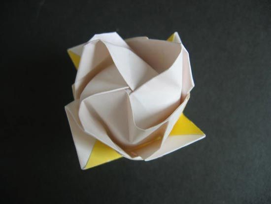 越狱纸玫瑰折法（纸玫瑰花的折法）-第47张图片