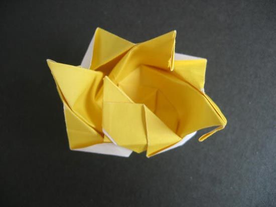 越狱纸玫瑰折法（纸玫瑰花的折法）-第49张图片