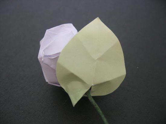 越狱纸玫瑰折法（纸玫瑰花的折法）-第61张图片