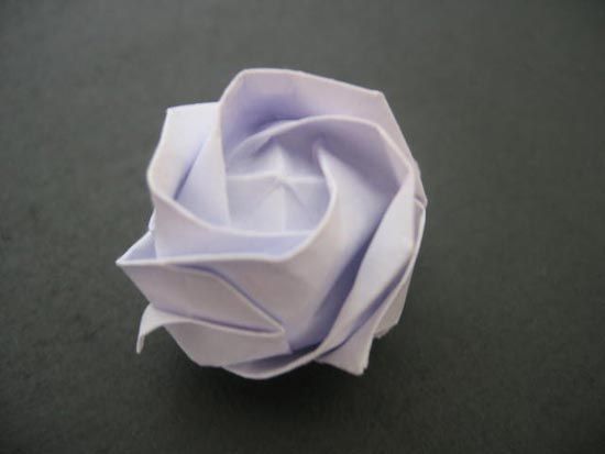 越狱纸玫瑰折法（纸玫瑰花的折法）-第56张图片