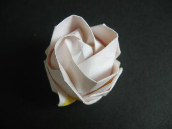 越狱纸玫瑰折法（纸玫瑰花的折法）-第55张图片