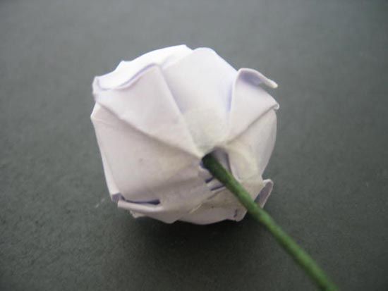 越狱纸玫瑰折法（纸玫瑰花的折法）-第59张图片