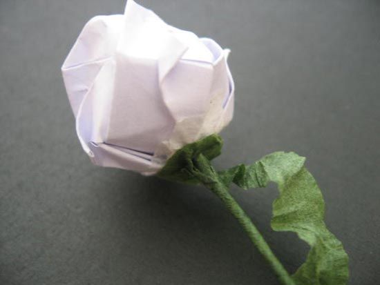 越狱纸玫瑰折法（纸玫瑰花的折法）-第60张图片