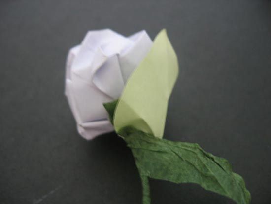 越狱纸玫瑰折法（纸玫瑰花的折法）-第62张图片