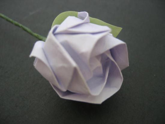 越狱纸玫瑰折法（纸玫瑰花的折法）-第64张图片