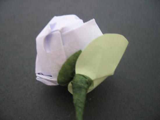 越狱纸玫瑰折法（纸玫瑰花的折法）-第63张图片
