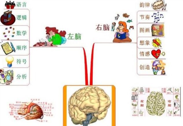 右脑记忆（3步学会右脑记忆法）-第4张图片