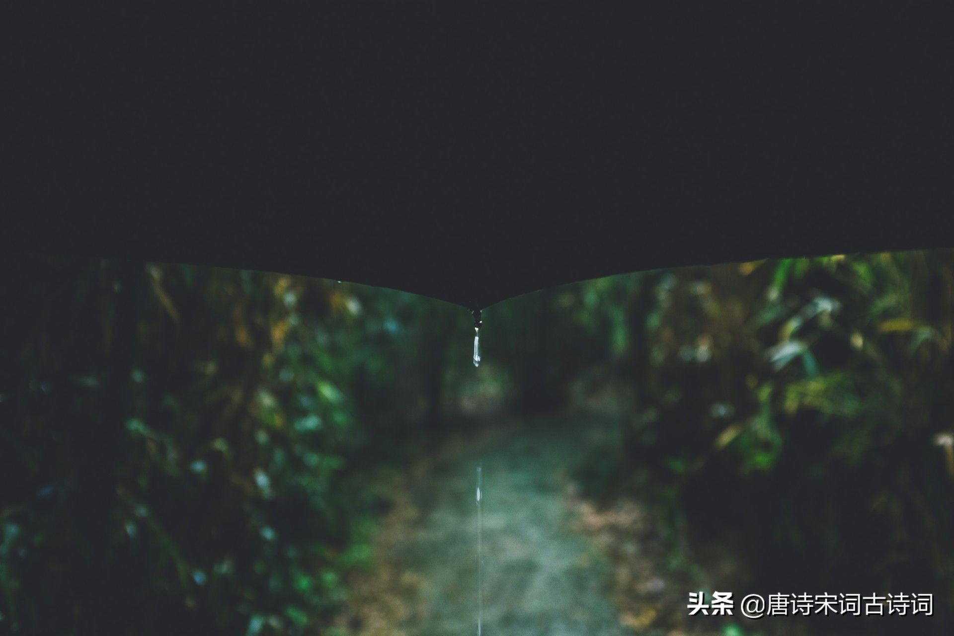 带雨的诗句（越读越有味的带“雨”古诗句）-第2张图片