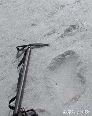 喜马拉雅山雪人（喜马拉雅山的怪物有了科学解释）-第4张图片