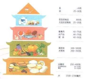 食品的分类（食物的五个类别要了解）-第1张图片