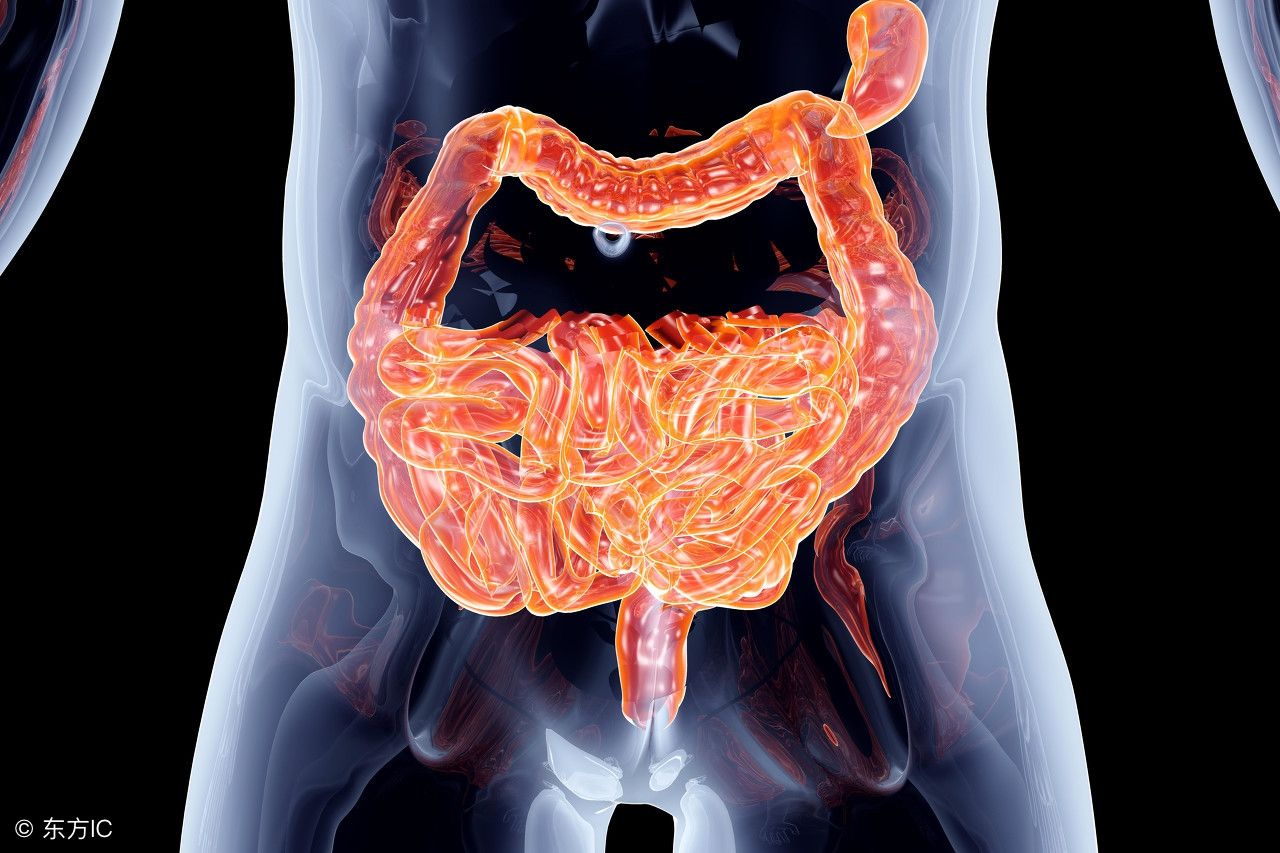 胃肠炎的治疗（关于胃肠炎的治疗）-第1张图片