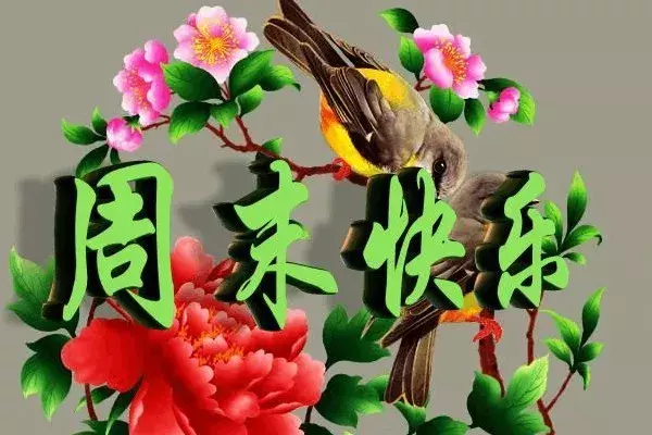 周末祝福短语！（周末愉快早晨语录！）-第9张图片