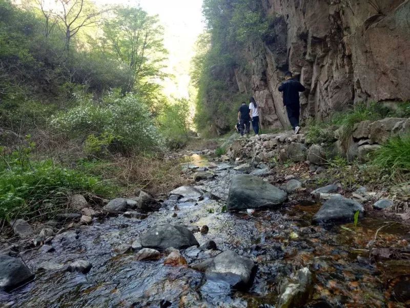 石家庄猪圈沟在哪怎么样 （平山“猪圈沟”）-第24张图片