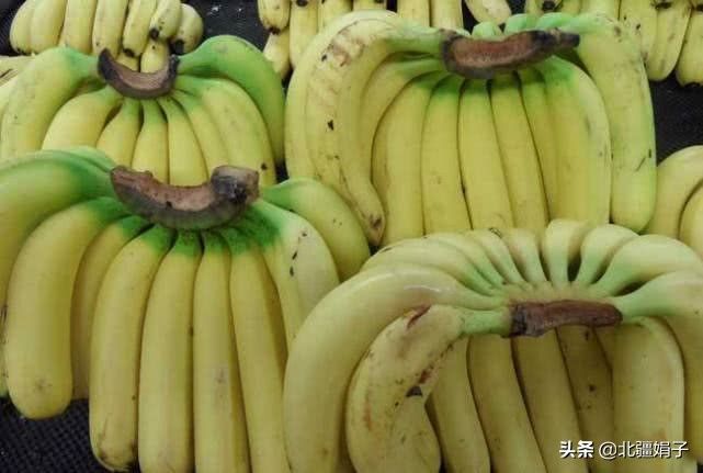 香蕉与芭蕉的区别（香蕉和芭蕉到底有什么区别？）-第1张图片