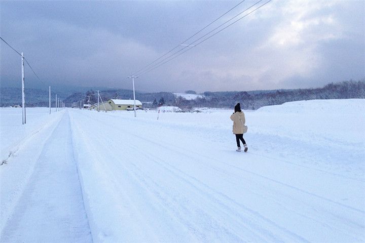 北海道旅游攻略（日本北海道旅游景点攻略 ）-第15张图片