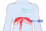 婴儿打嗝的原因（引起新生儿常打嗝的原因是什么？）-第2张图片