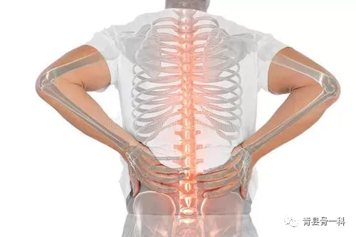 脊椎康复（脊椎康复小知识）-第1张图片
