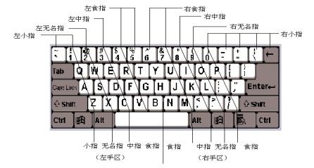 盲打技巧（快速学会键盘盲打技巧）-第4张图片