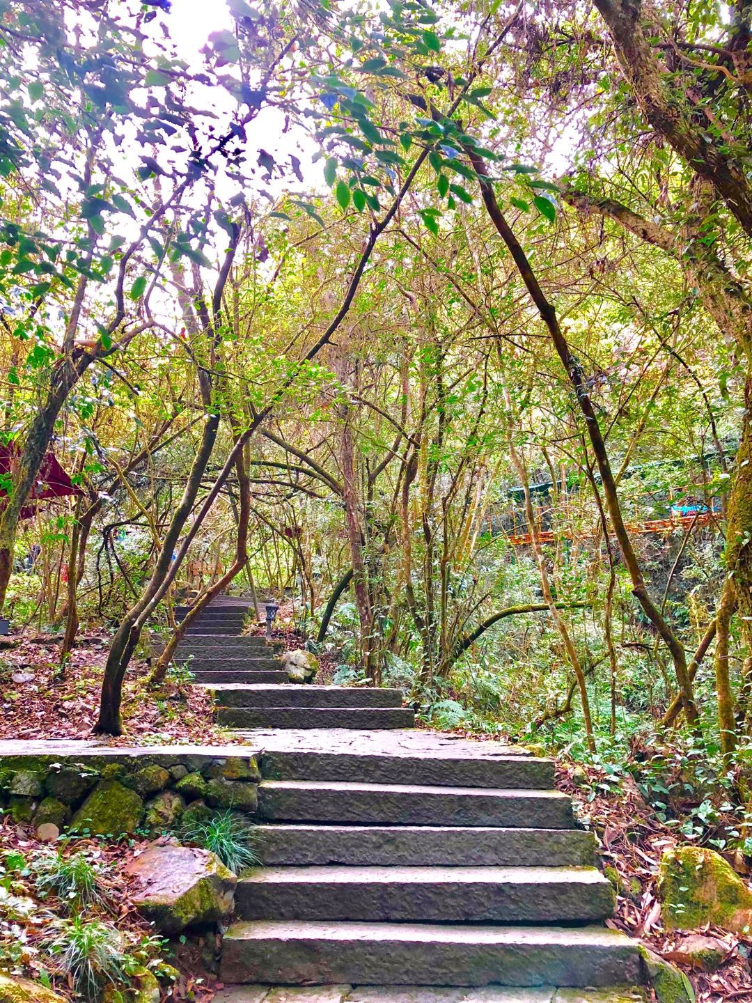 千岛湖五龙岛（杭州千岛湖二日游攻略 ）-第23张图片