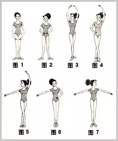 学习广场舞基本动作（跳广场舞最基本的几个动作有哪些  ？）-第8张图片