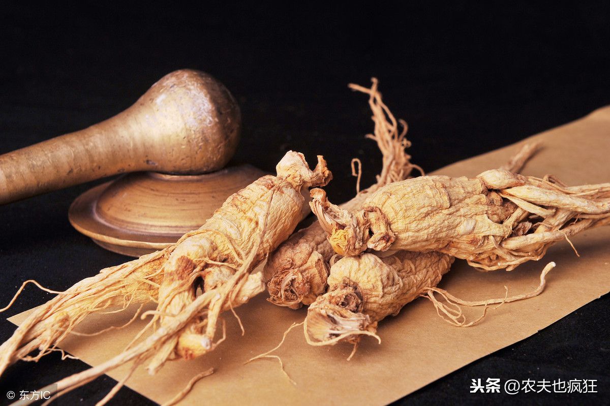 人参会跑吗(为什么挖人参要绑红绳子?)-第3张图片 人参会跑吗(为什么挖人参要绑红绳子?)-第3张图片