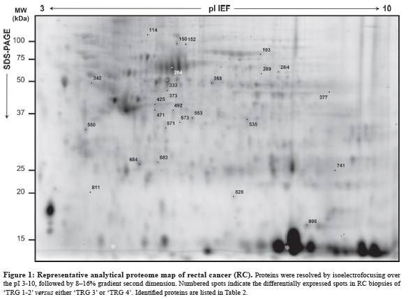 蛋白组学分析（蛋白质组学研究，这篇够经典！）-第4张图片