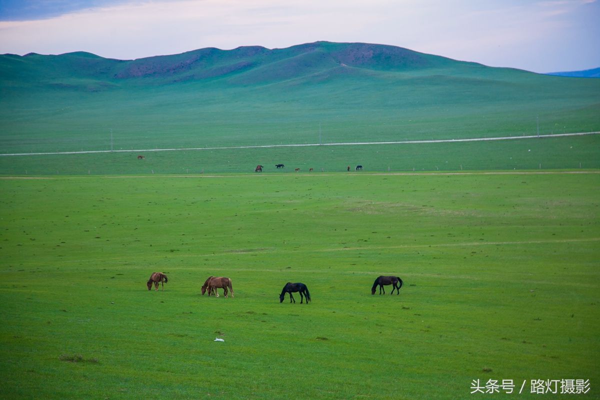 内蒙古大草原旅游（内蒙古大草原旅游攻略 ）-第9张图片