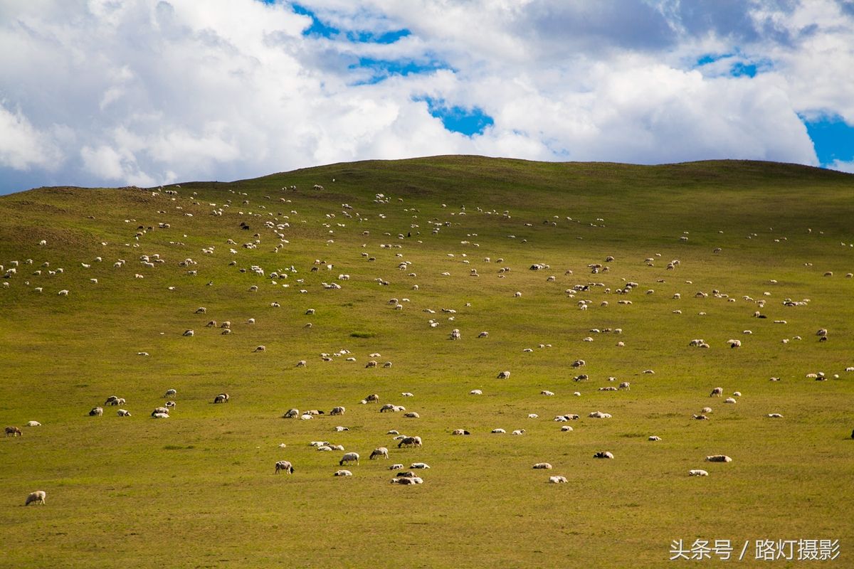 内蒙古大草原旅游（内蒙古大草原旅游攻略 ）-第11张图片