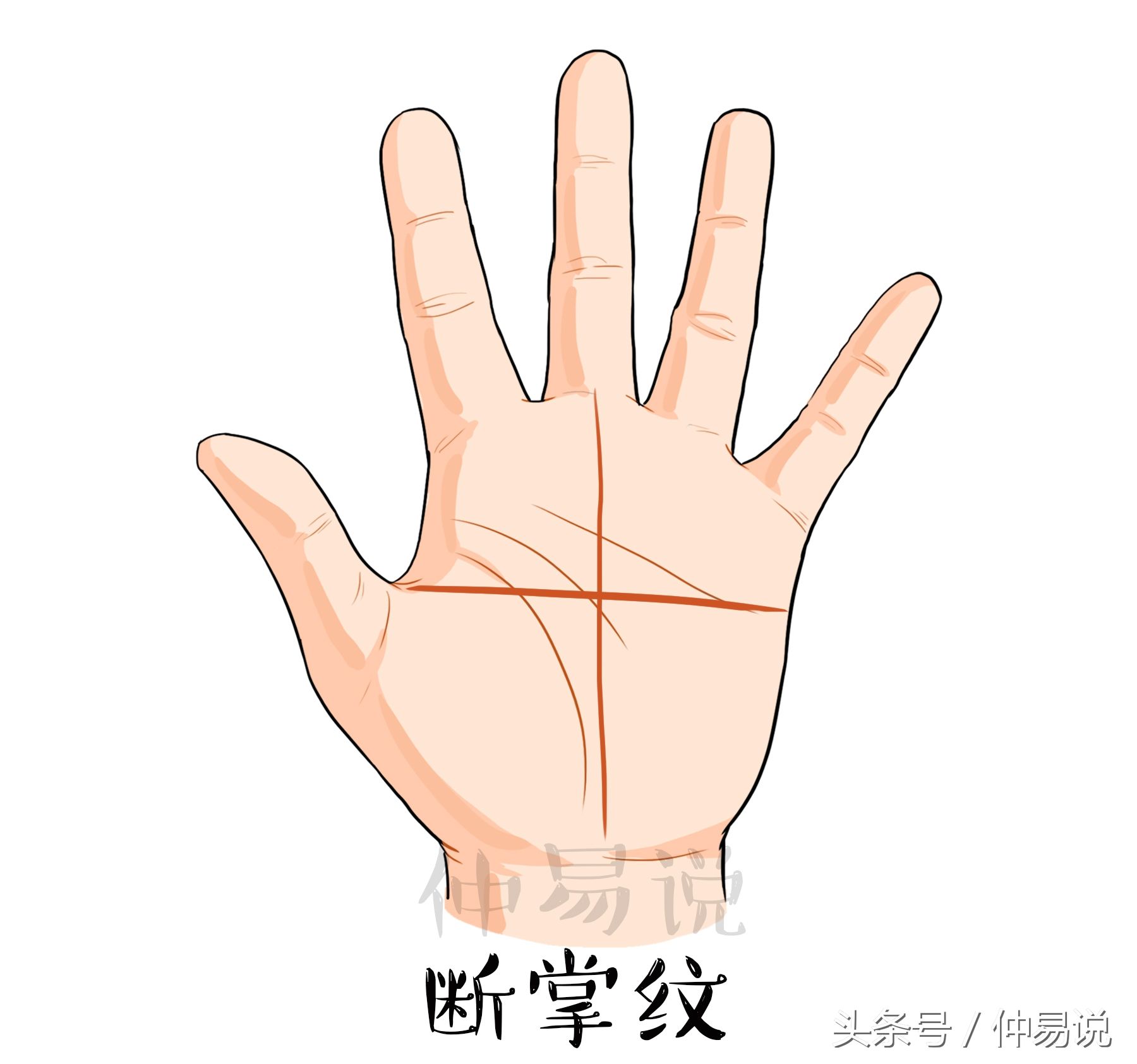 什么是断掌？（4种断掌看你今生的命好不好？）-第1张图片