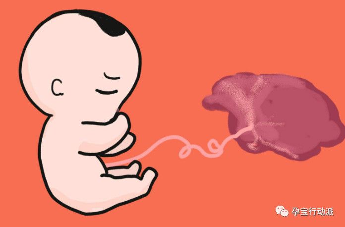 胎儿钙化（胎盘钙化怎么回事）-第2张图片