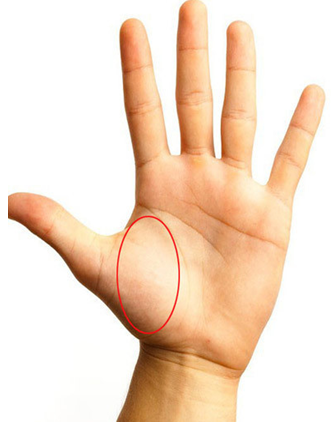 手掌相学（简单手面相一看就会）-第1张图片
