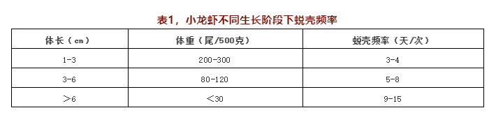 龙虾养殖业（关于小龙虾养殖你应该知道的）-第5张图片