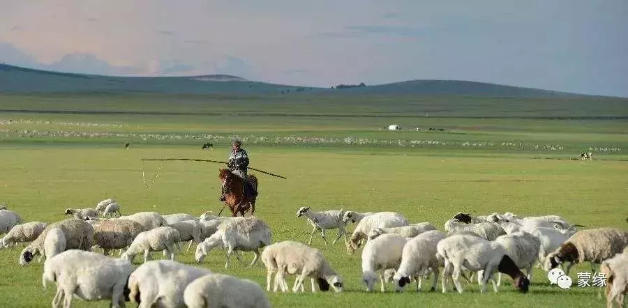 内蒙古旅游注意事项（来内蒙旅游需要注意些什么？）-第1张图片