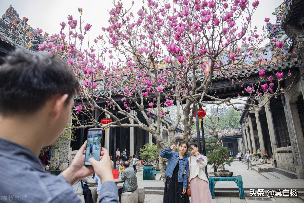 陈家祠好玩吗（广州必玩羊城八景古祠留芳陈家祠）-第9张图片