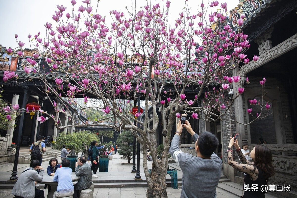 陈家祠好玩吗（广州必玩羊城八景古祠留芳陈家祠）-第8张图片