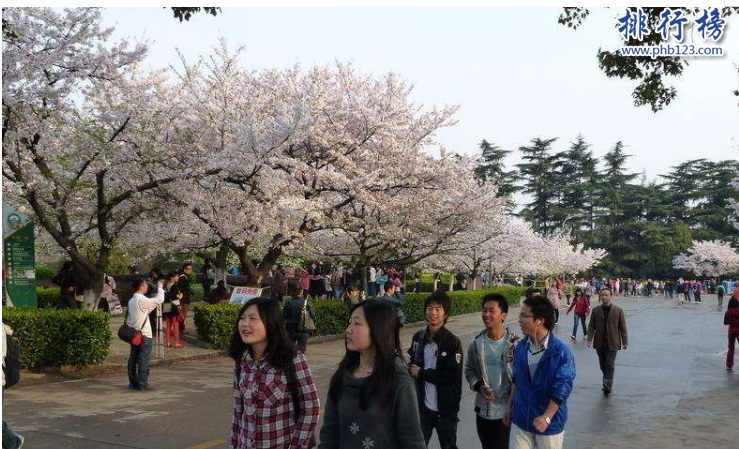 武汉旅游一日游（武汉十大一日游最佳路线）-第10张图片